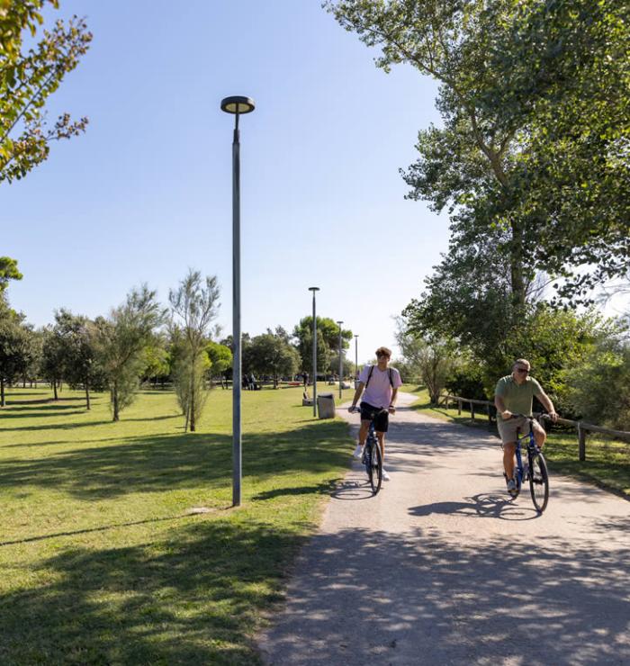 Due persone in bicicletta su un sentiero in un parco soleggiato.